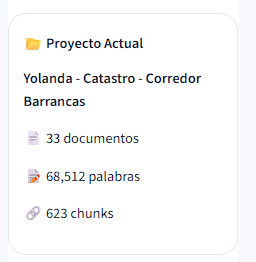 Sección Proyecto Actual del menú lateral mostrando nombre, documentos, palabras y chunks
